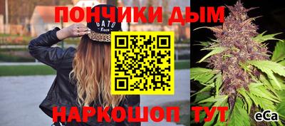 шишки Донской