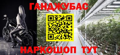 шишки Донской