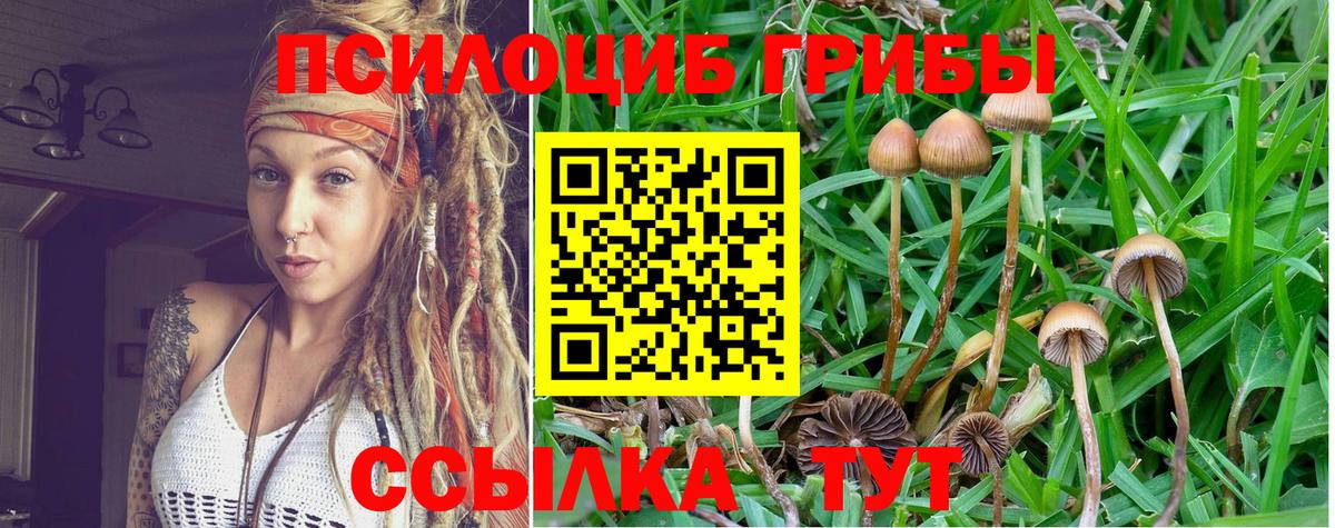 Псилоцибиновые грибы GOLDEN TEACHER Луховицы