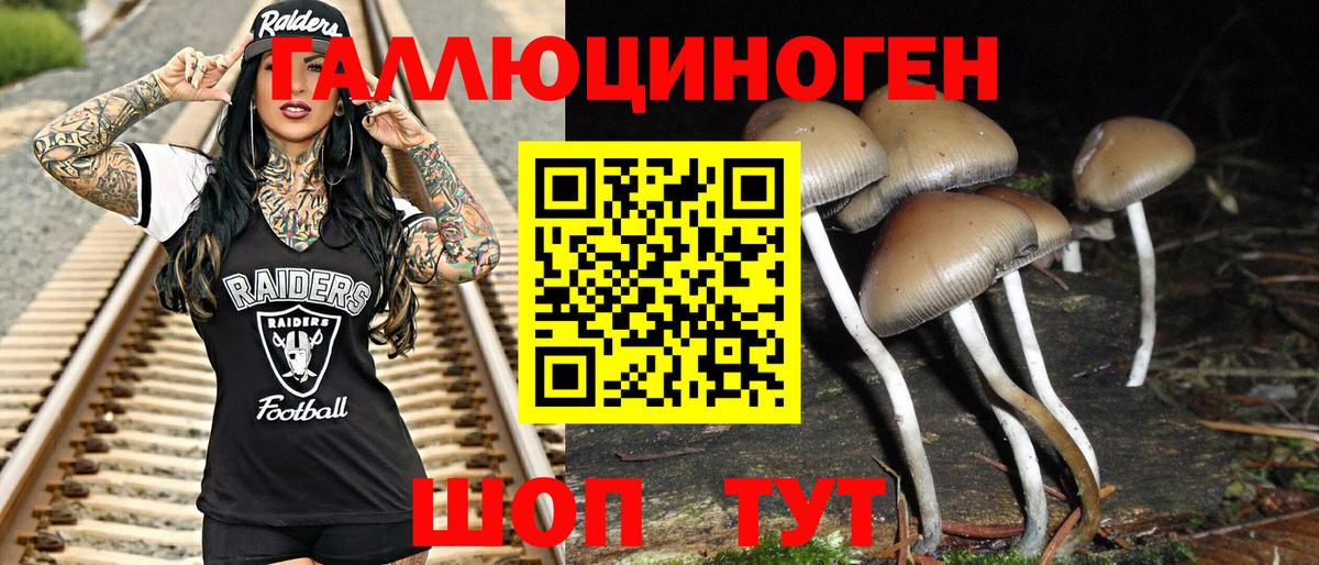 Луховицы  Галлюциногенные грибы Psilocybe  Псилоцибиновые грибы Cubensis  Вход с VPN 